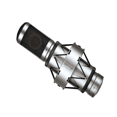 Brauner VMA双大膜片管式麦克风
